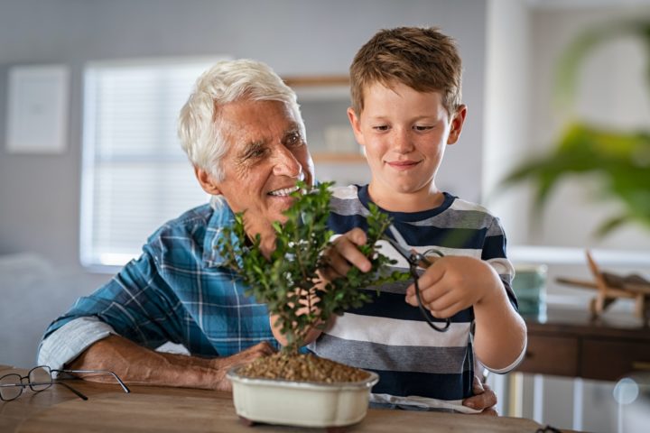 Hiver ? C’est la bonne saison pour planter des arbustes dans son jardin